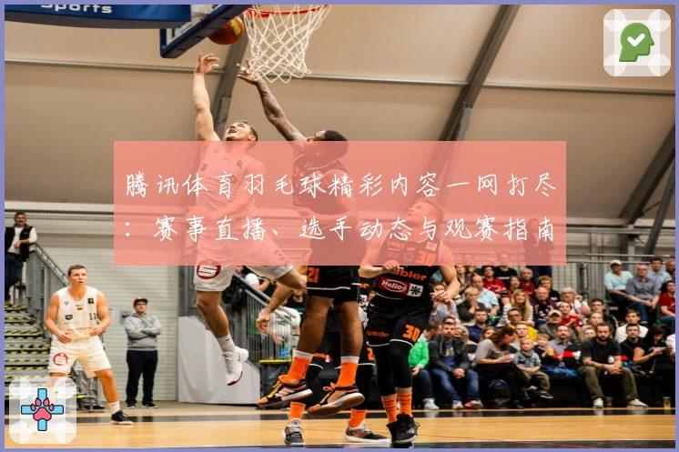 腾讯体育羽毛球精彩内容一网打尽：赛事直播、选手动态与观赛指南全攻略